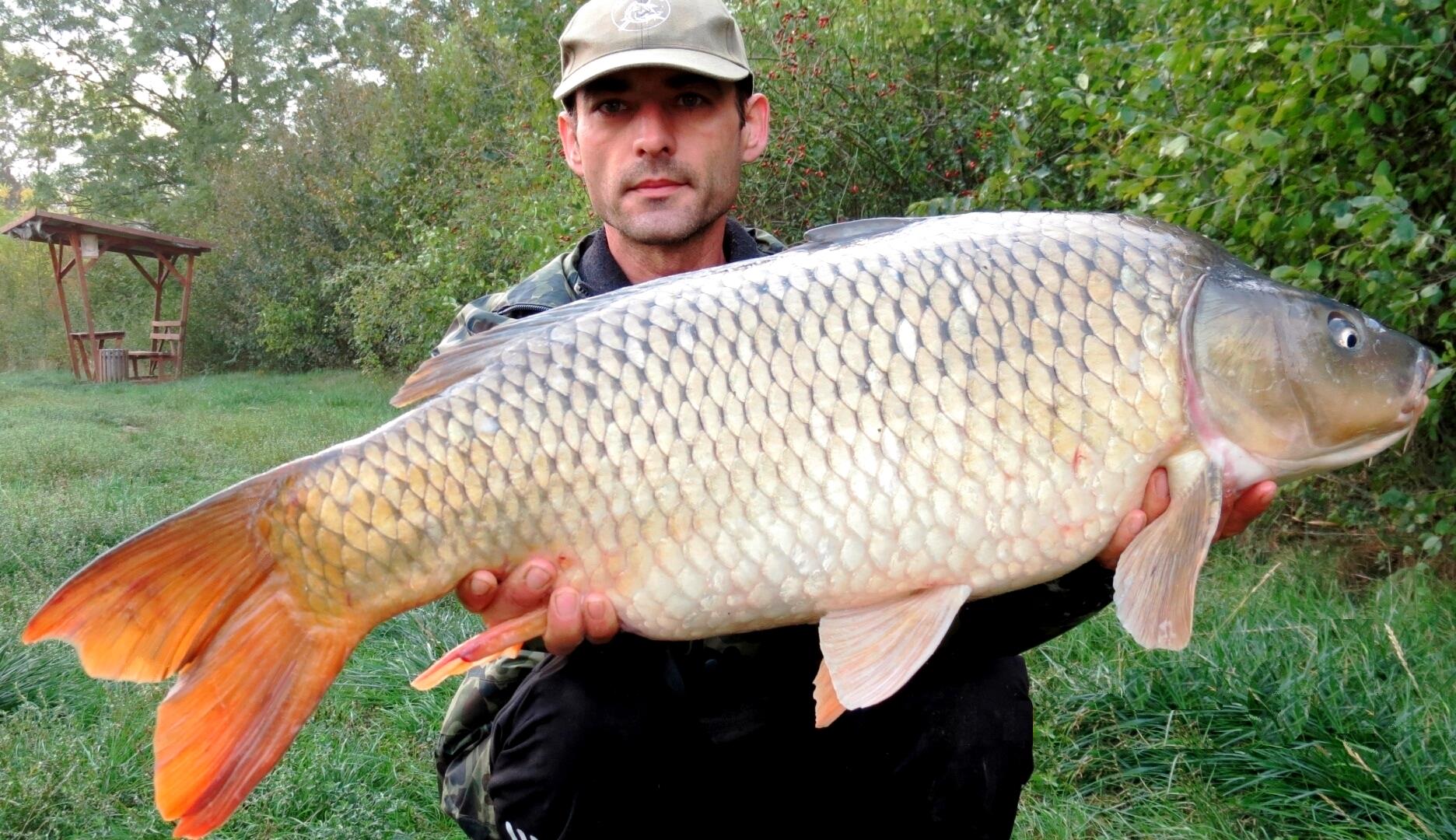 The best pictures of 2013 - 12,150